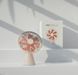 Міні-вентилятор настільний Sothing Forest Desktop Fan дротовий з портом Type-C (DSHJ-S-1907), Apricot White 251045 фото 10